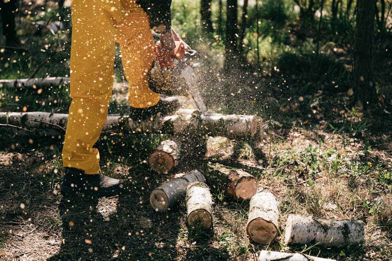 Dead Tree Removal in Leland, NC